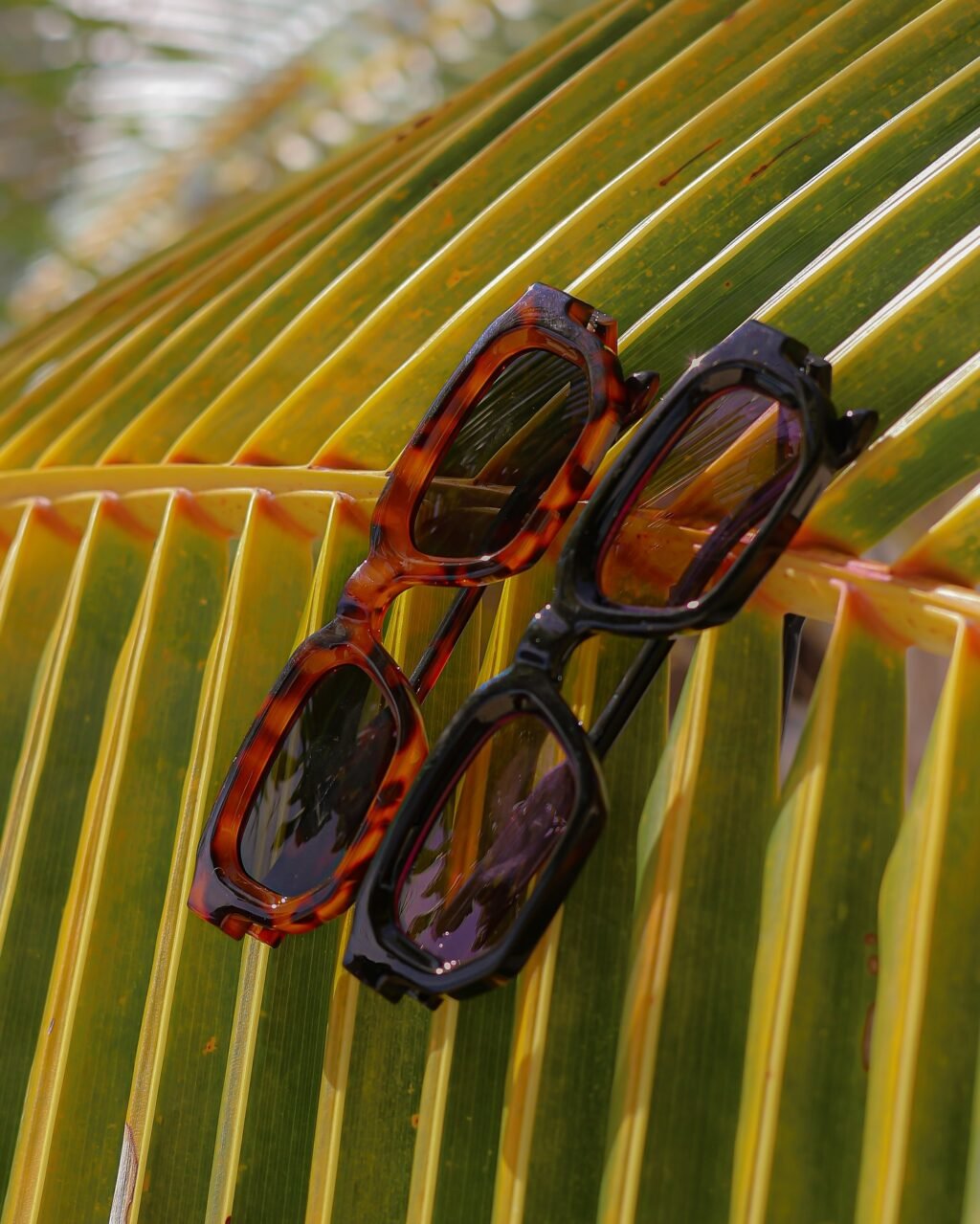 Instagram post from lenoir.eyewear. This post is in position 1.